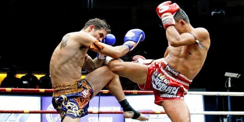 cá cược boxing Chiến lược hiệu quả khi cá cược boxing